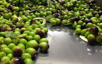 ASSEMBLEA DEI SOCI 2022